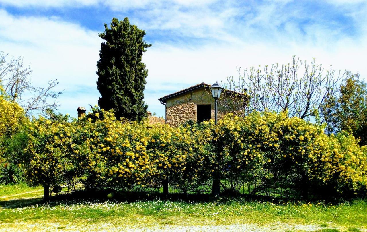 La Cana Dolce Bertinoro Exterior foto